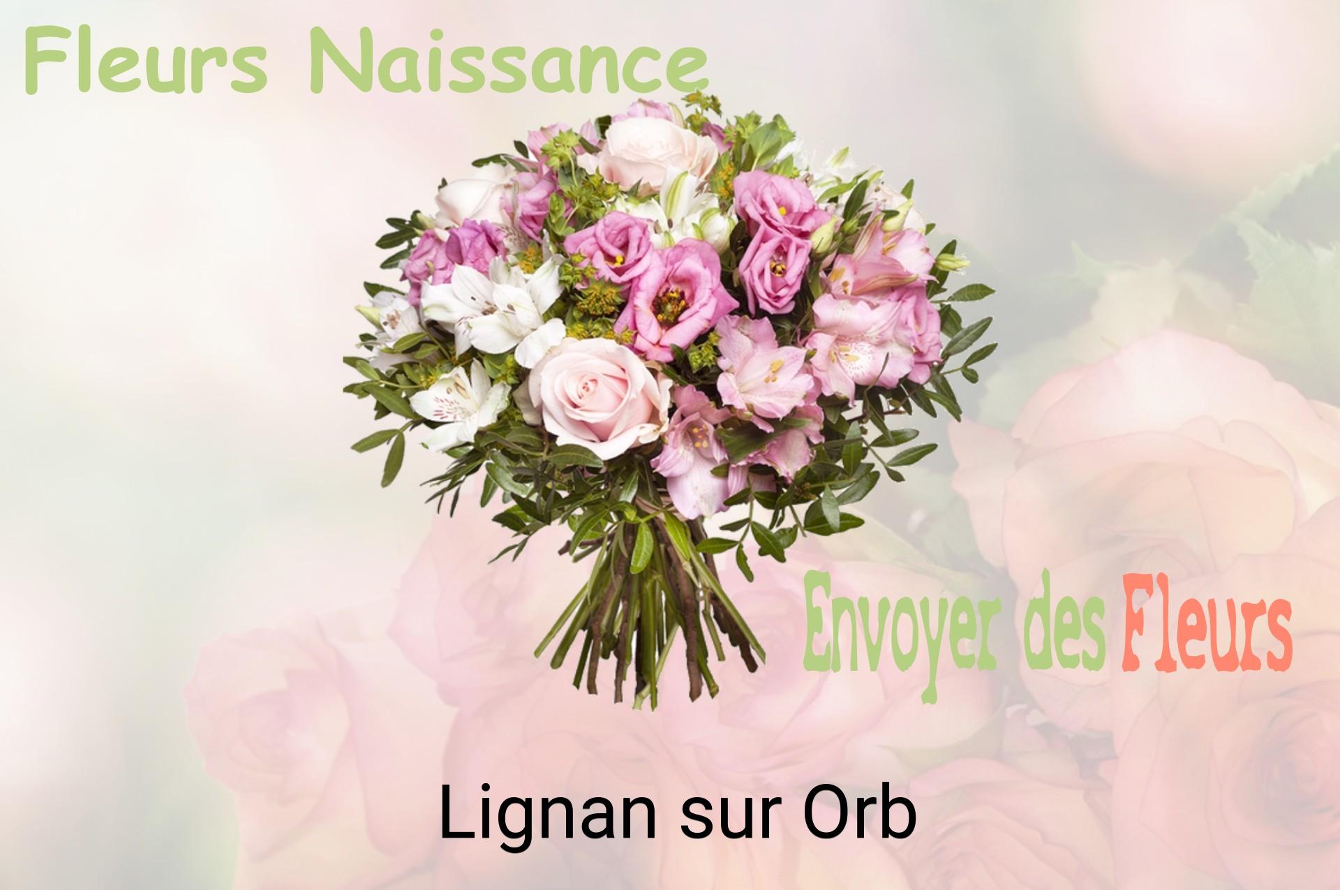 Bouquet de fleurs de naissance livré à Lignan-sur-Orb