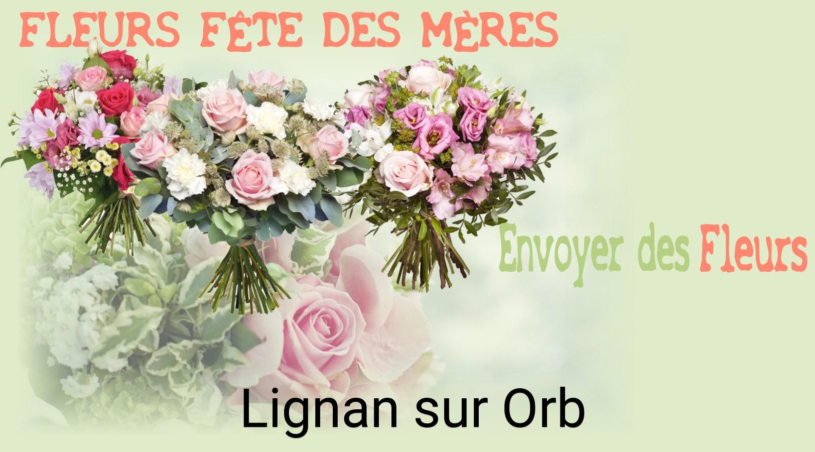 Bouquet de Fête des Mères livré à Lignan-sur-Orb